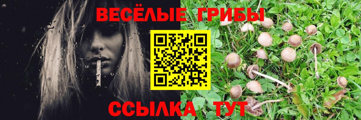 Псилоцибиновые грибы Cubensis Шадринск