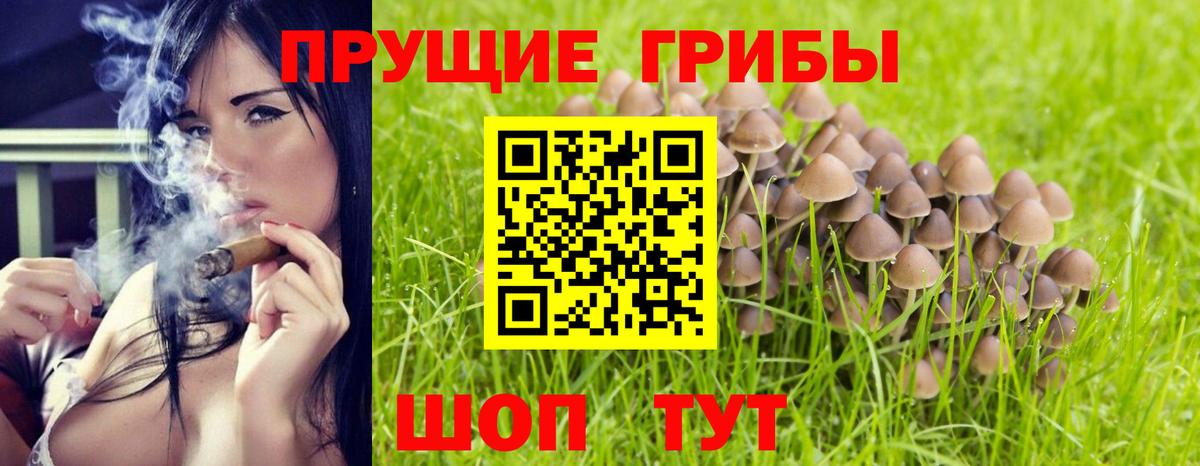 Псилоцибиновые грибы Magic Shrooms  Галлюциногенные грибы прущие грибы  цены наркотик  Вход с VPN  Шадринск 